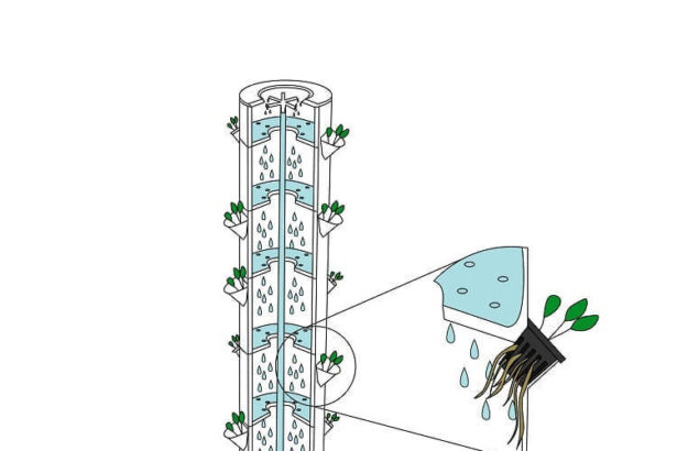 aeroponic gardens