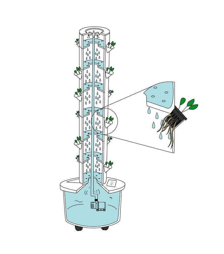 aeroponic gardens