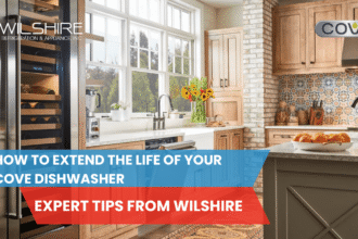 dishwasher maintenance