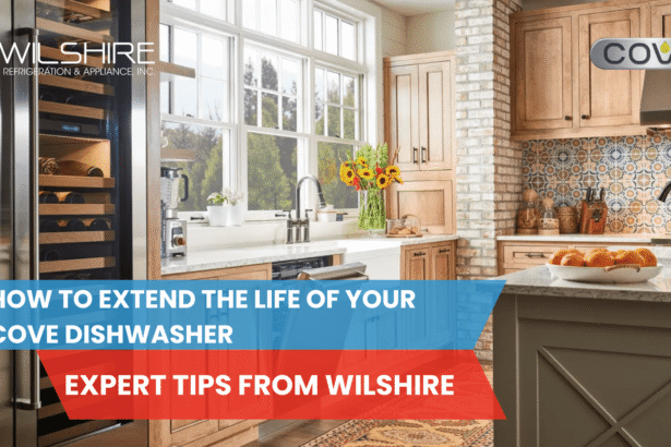 dishwasher maintenance