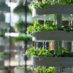 hydroponic tower